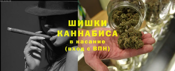 индика Россошь