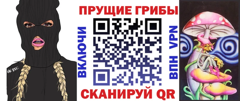 где найти   Баксан  Псилоцибиновые грибы MAGIC MUSHROOMS 